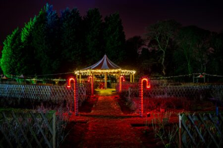 Christmas Temporary Lighting
